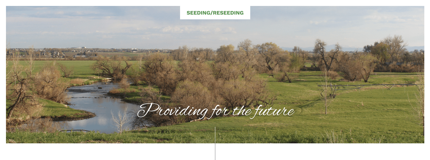 Grass Seeding Programs West Greeley Conservation District