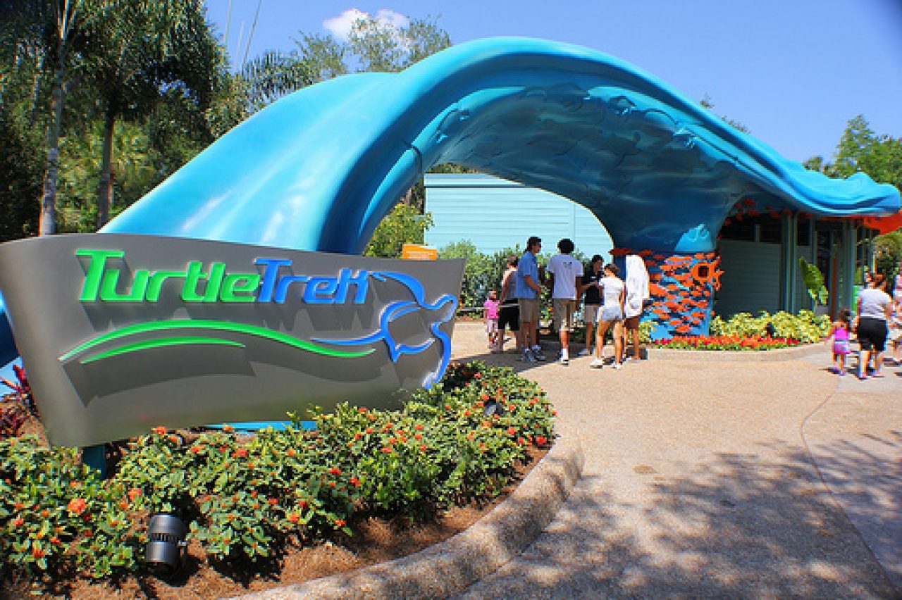 Turtle Trek Attraction, SeaWorld Orlando Wharton Smith, Inc.