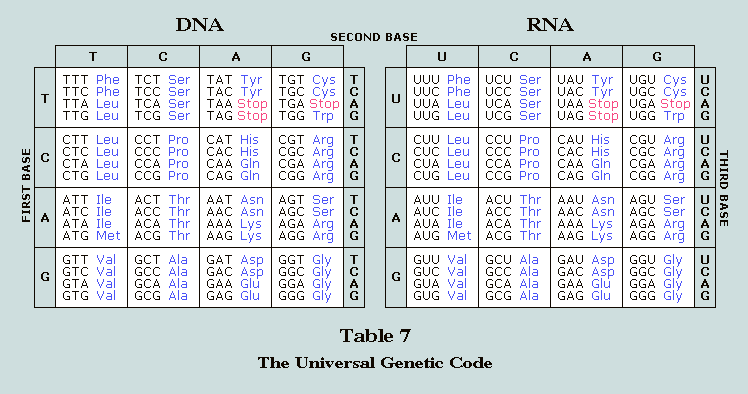 Unit 3 concept 1 DNA
