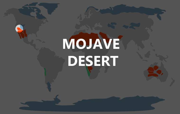 California Desert In World Map Mojave Desert | The 7 Continents Of The World