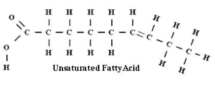 Chemical structure of unsaturated fat