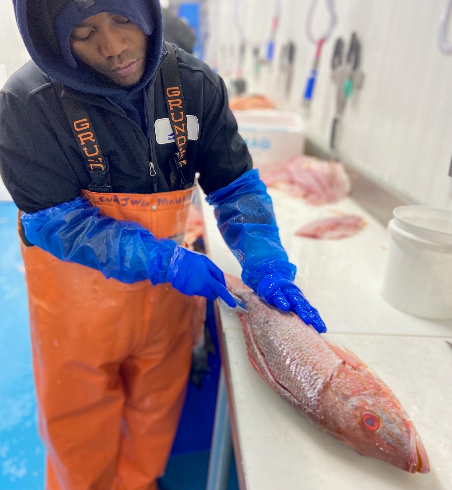 The Butchery and Bluefin Seafoods features for the week of 11/1. What