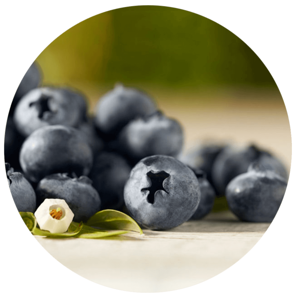 Blueberries Berry Acres