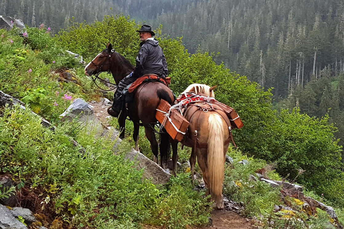 County Backcountry Horsemen Maintain Trails And Carry Gear Well