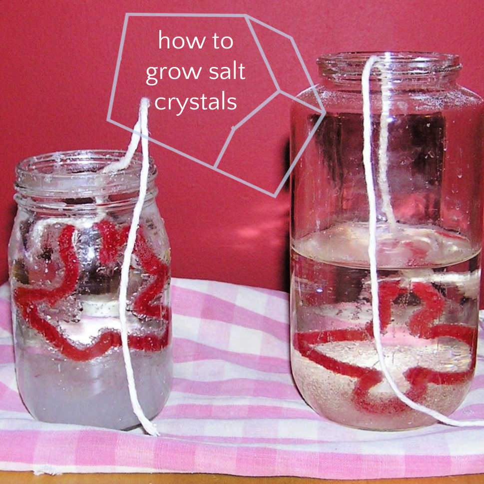 Salt Crystals On A String