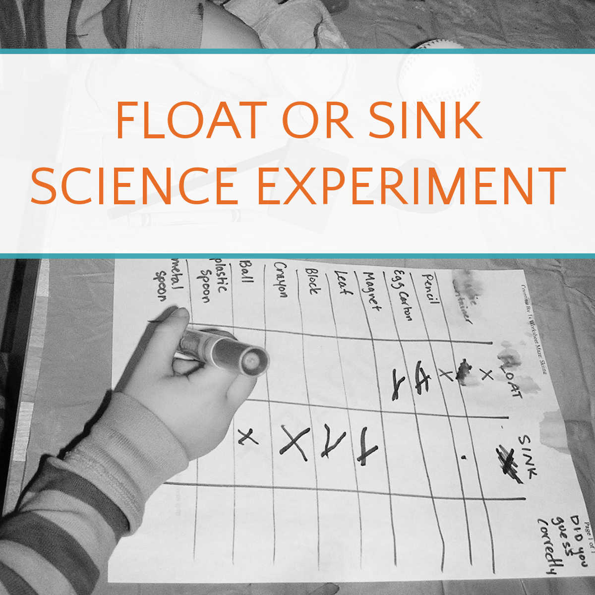 Float or Sink Experiment Instructions and Worksheet Ideas