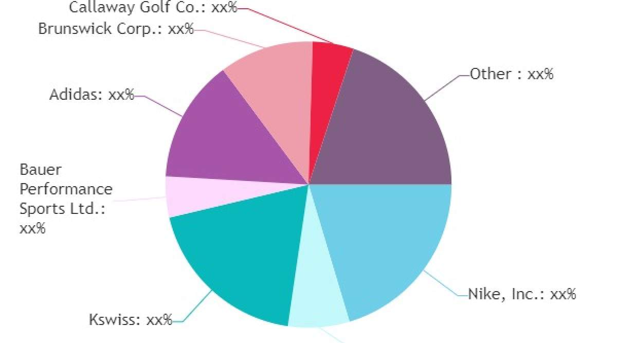 Sporting Goods Market growing popularity and emerging trends Nike