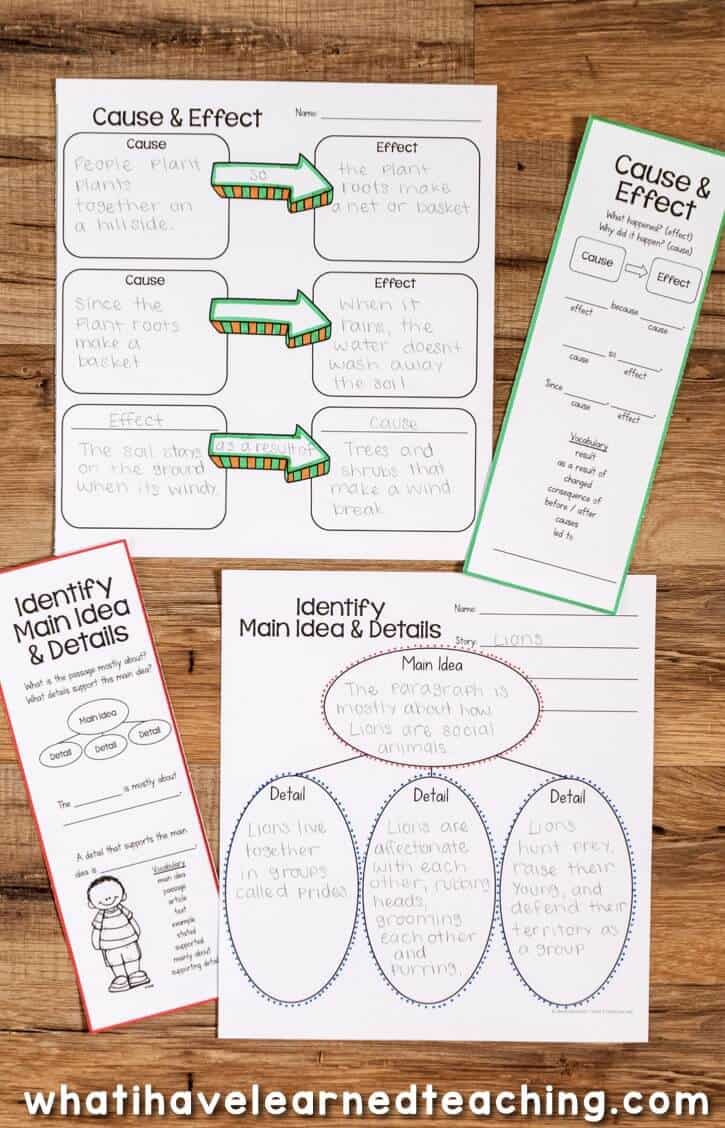 Graphic organizer with language support.