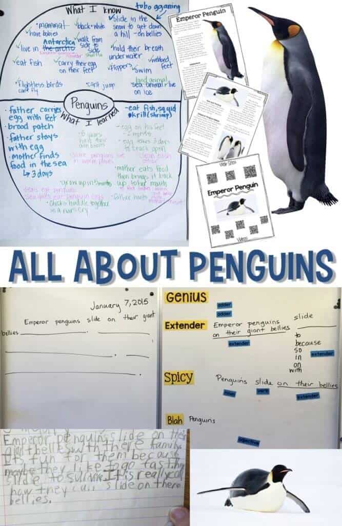 All About Penguins Informational Reading and Writing for Winter
