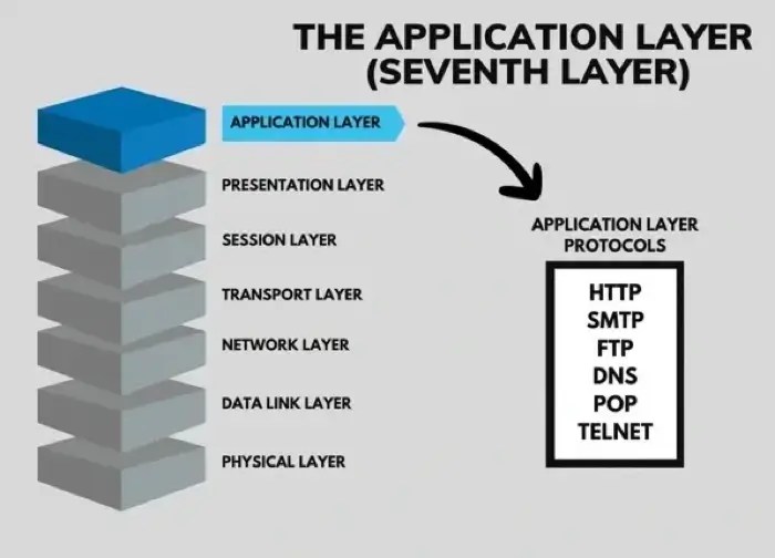 What Is the Application Layer? OSI Model Layer 7