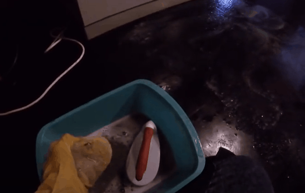 How to Remove Wax From Vinyl and Linoleum Floors? (StepbyStep Tutorial)