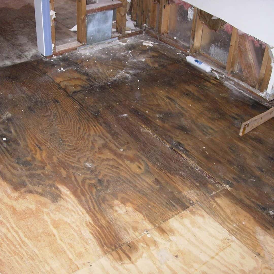 How To Fix Water Damage On Wood Floors (StepbyStep Guide)