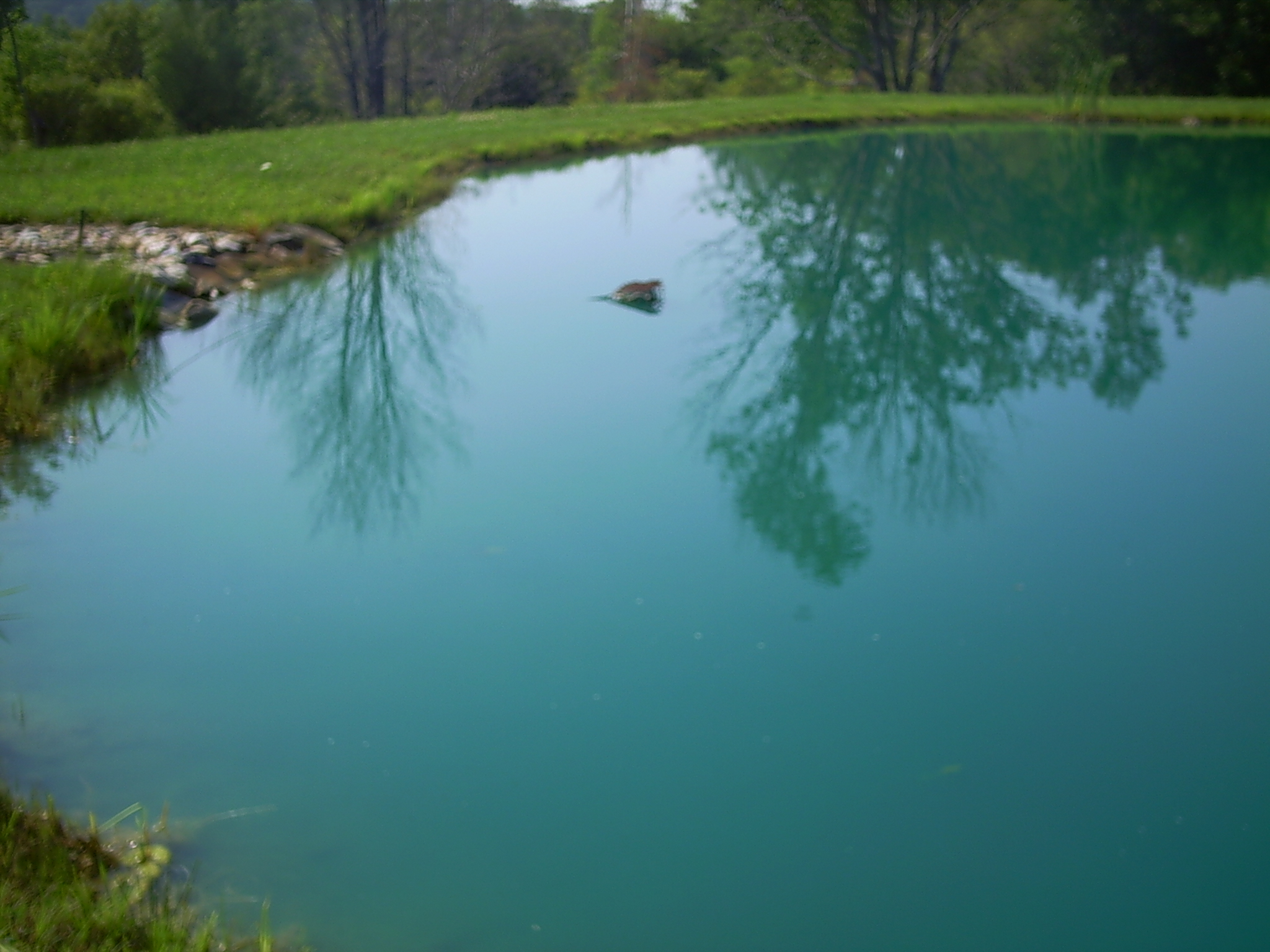 Pond water exit Pond Building to Pond Supplies