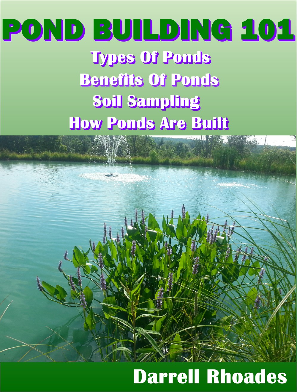 What is a pond? Discover the types of ponds and how they’re built.