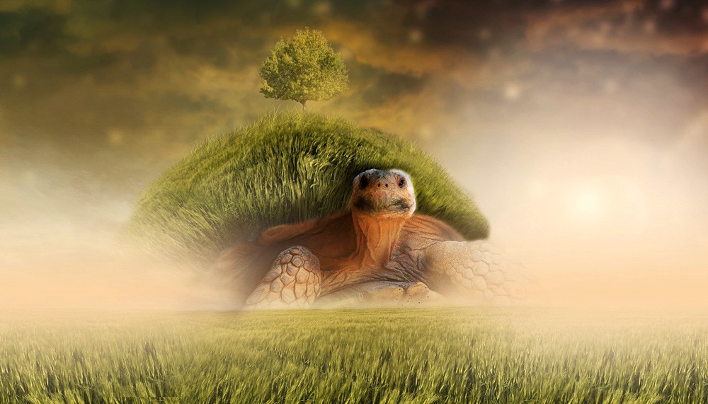 Symbolic Turtle Legends World Turtle and Turtle Island