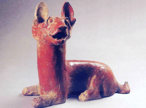 20 Facts About Dogs & DogEating in China Jobbr Online Jobs