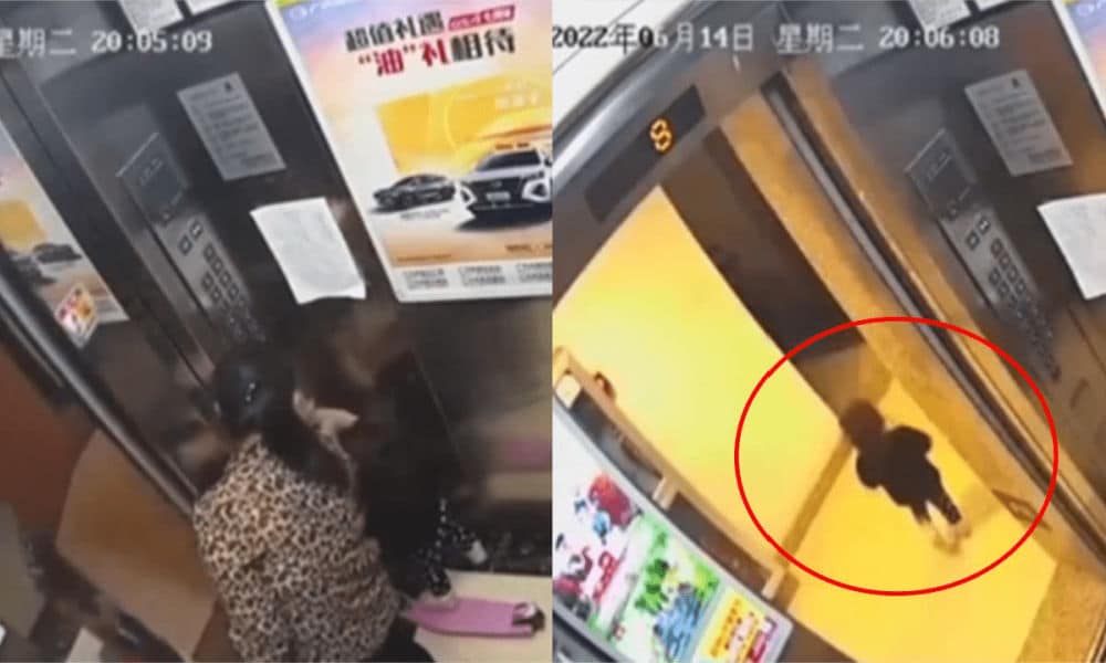 Floor Guy On Hometown Meme Viewfloor.co