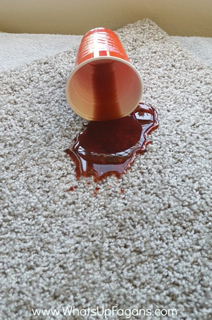 The Surprisingly Easy ChemicalFree Way to Remove Carpet Stains