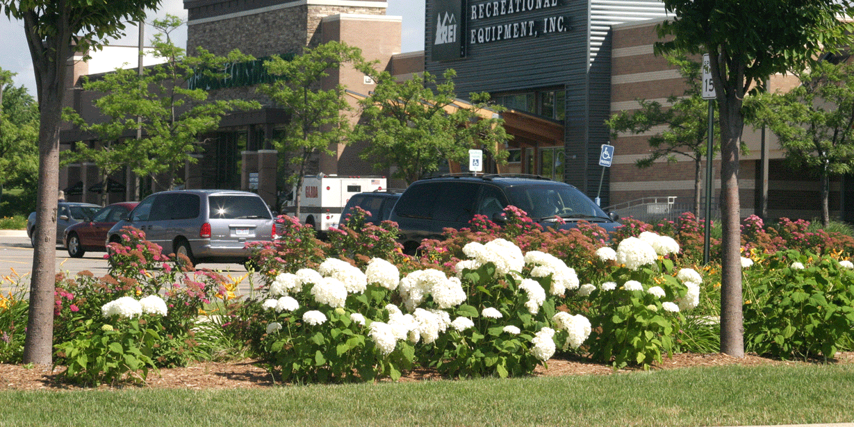 Cranbrook Village Mall WH Canon