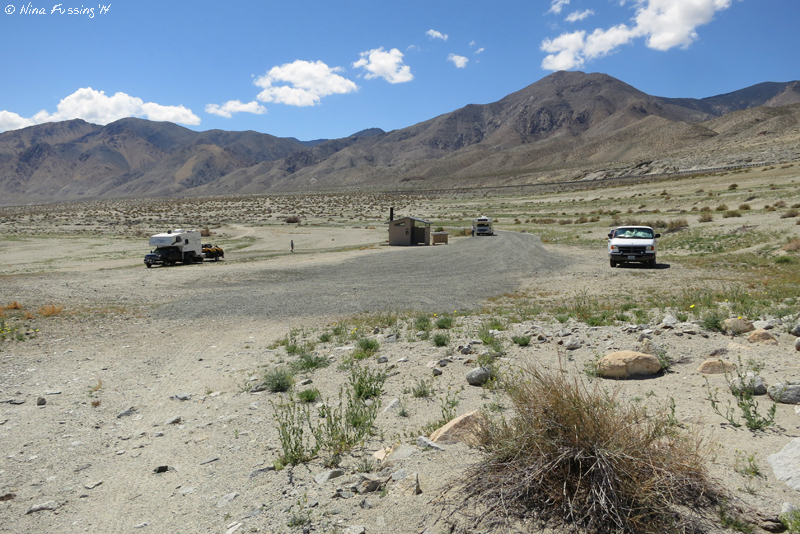 BLM Campground Review Walker Lake Recreation Area, Hawthorne, NV