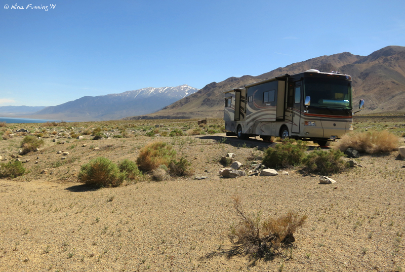 BLM Campground Review Walker Lake Recreation Area, Hawthorne, NV