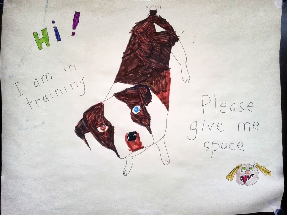 Hi! I am in training. Please give me space. When Hounds Fly Dog Training