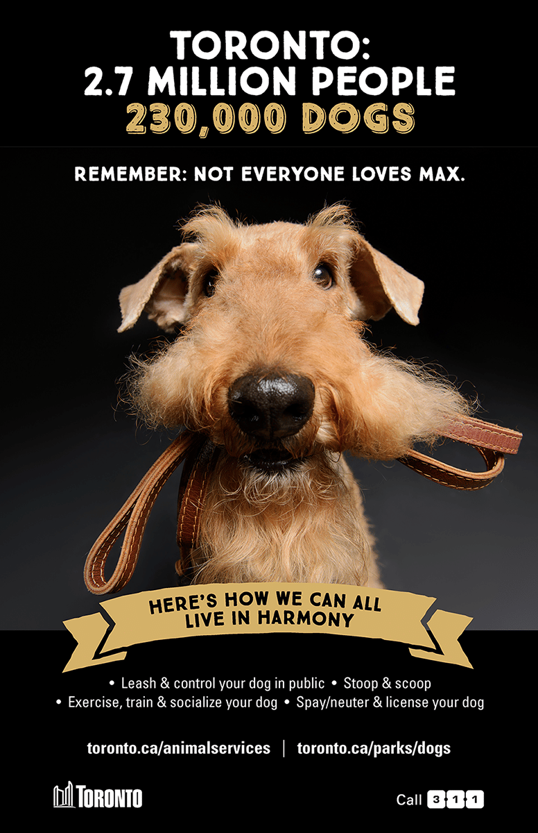 Can Dogs Be Off Leash In Public