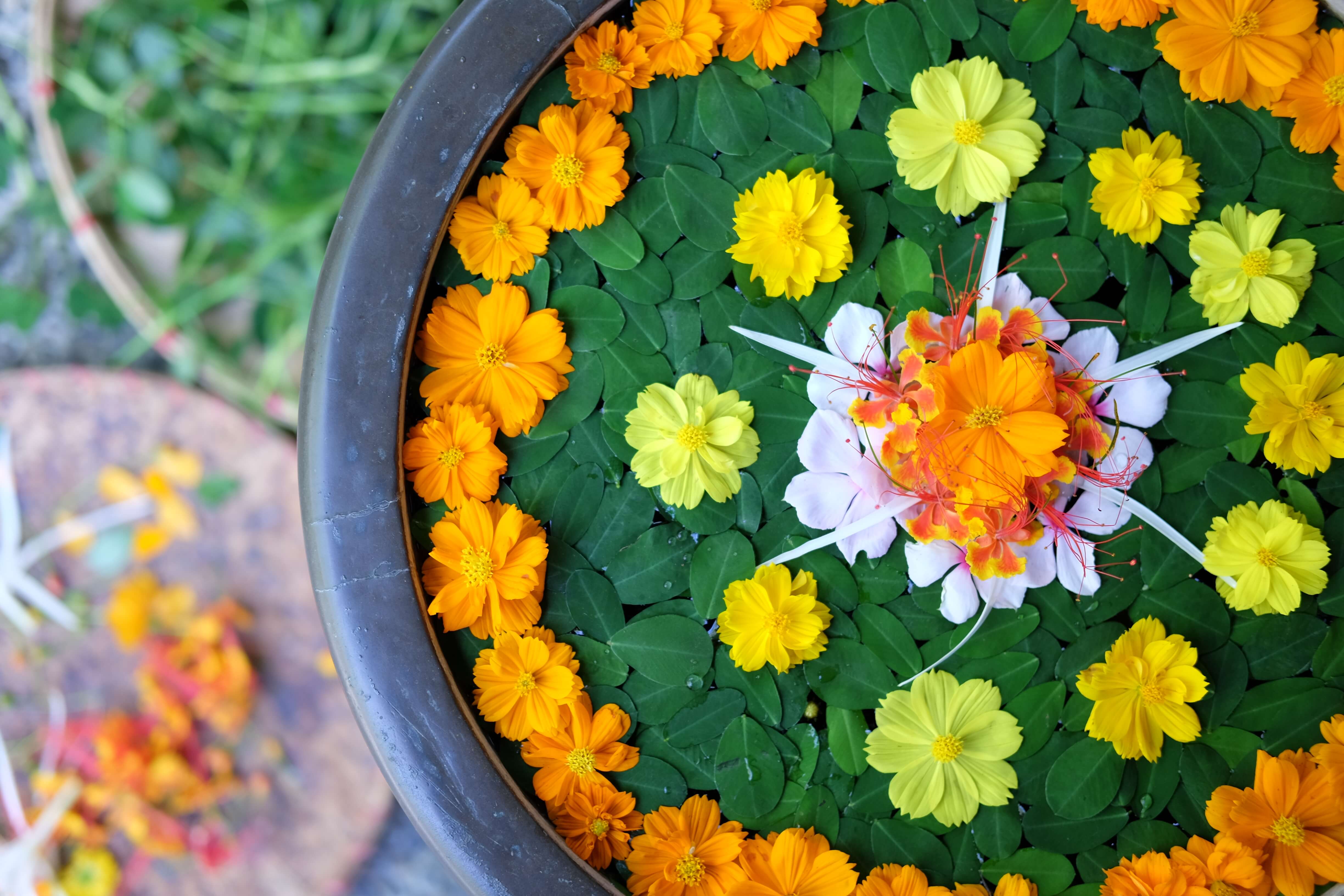 READ How To Create Your Own Mandala Flower Art When In Manila