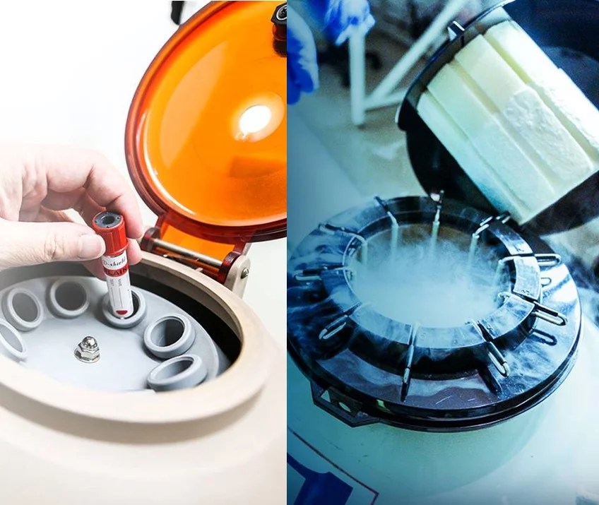 Ladies, It's Time We Talk About Egg Freezing When In Manila