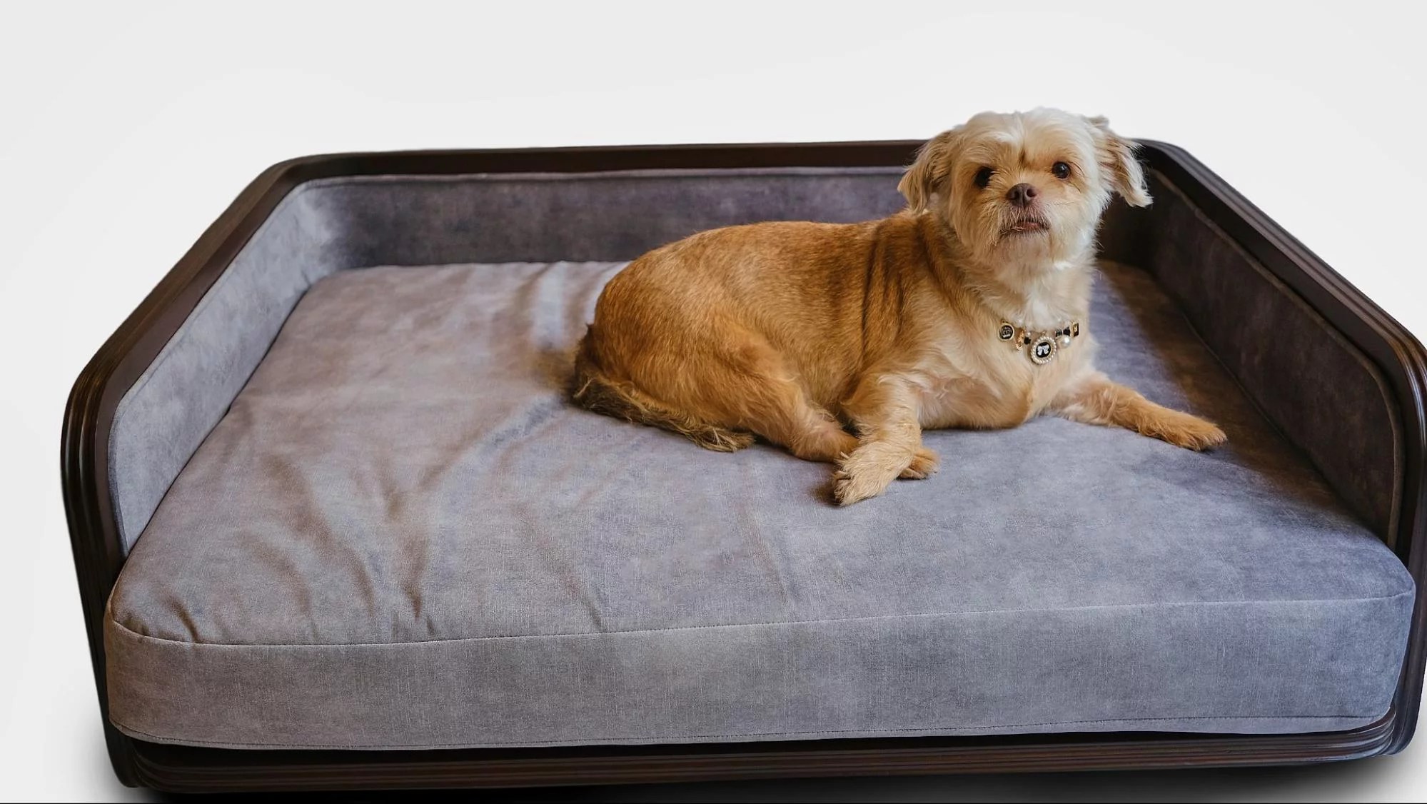 Posh Paws LocallyMade Luxury Pet Beds for InteriorConscious Fur