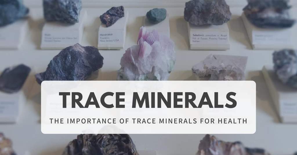 Why Trace Minerals Are Important For Your Health