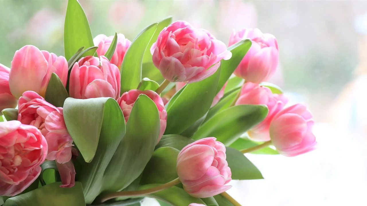 6 Favorite Flowers To Give Mom on Mother’s Day
