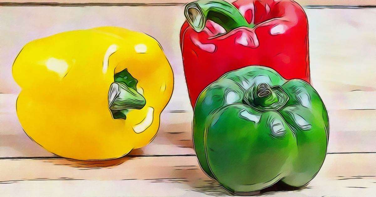 Bell Pepper Nutrition Does Color Matter?