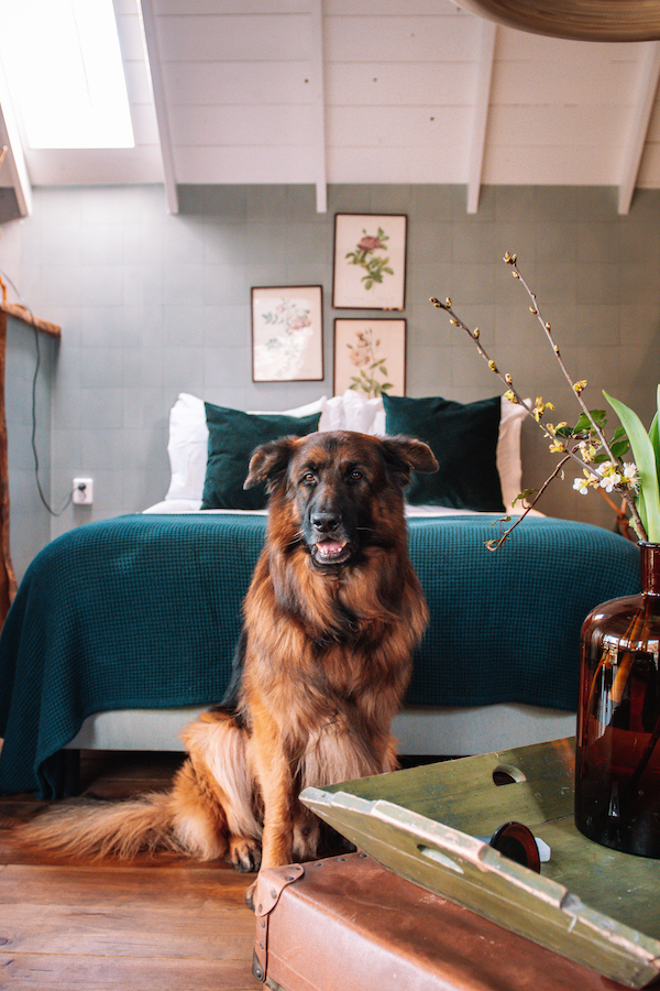 Bijzonder overnachten bij B&B Inn Friesland Where She Goes