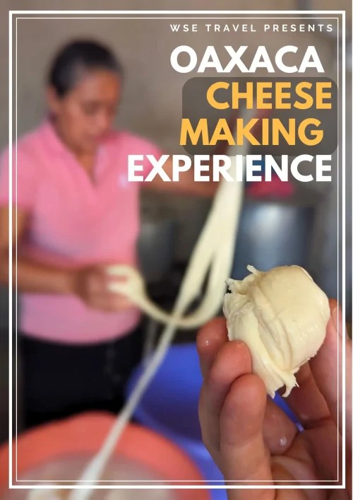 Oaxaca Artisanal Cheese Experience Make your own quesillo Private Tour