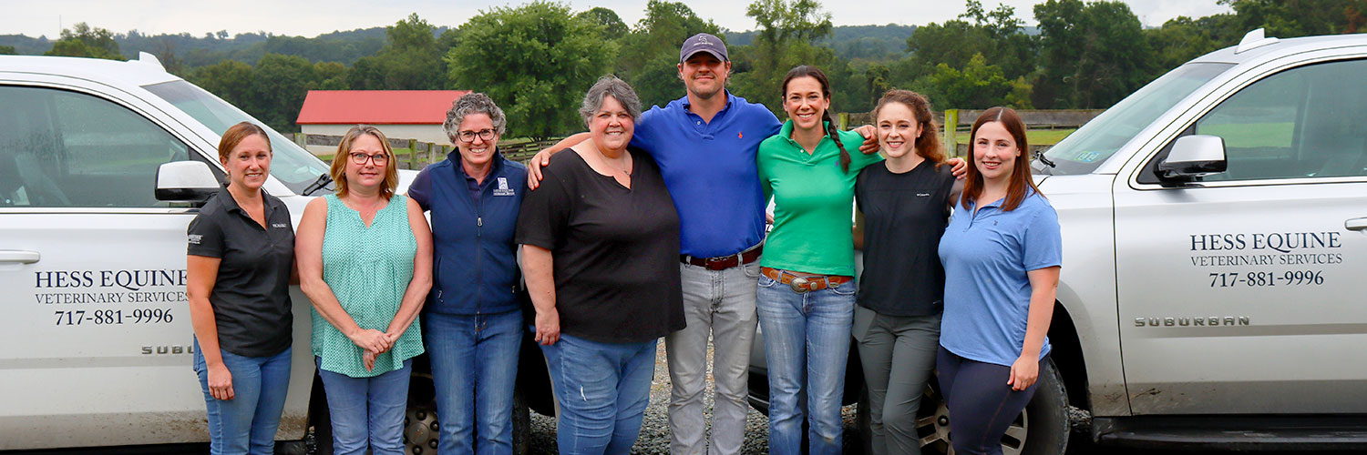 Hess Equine Veterinary Services PA Equine Vet MD Horse Vet