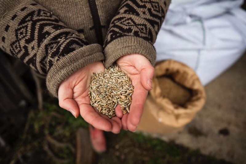 What You Need To Know About Ketel One Vodka Whiskey Ginger