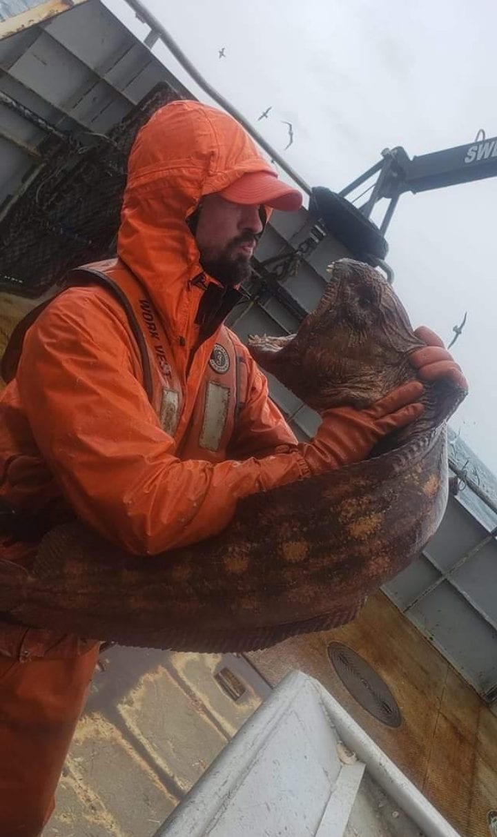The Wolf Eel Is Pure Nightmare Fuel, Chopped Head Bites Through Coke
