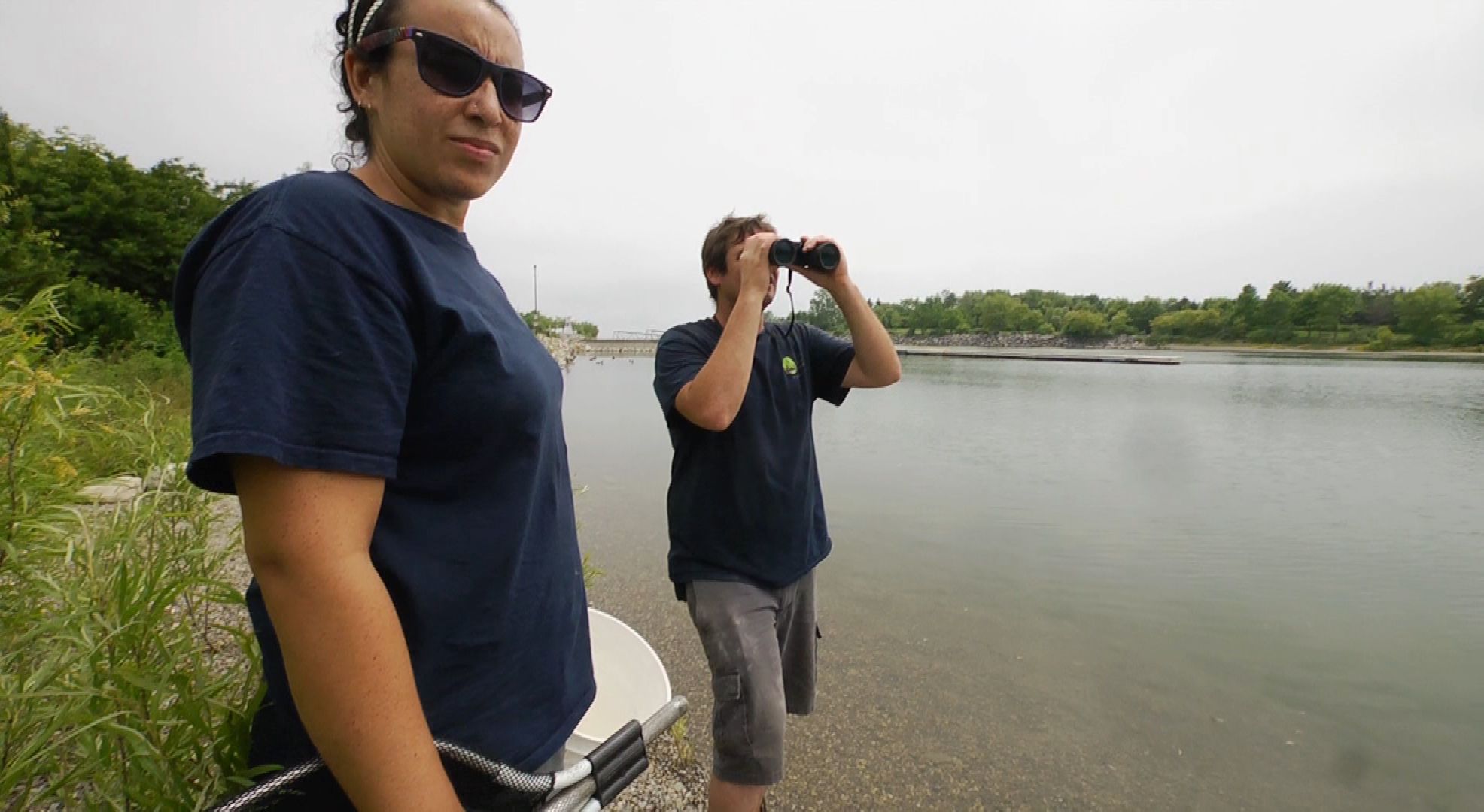 City Wildlife Rescue WhistleStop Productions Inc.