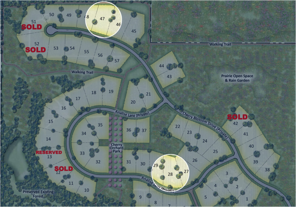 Property White Birch Builders