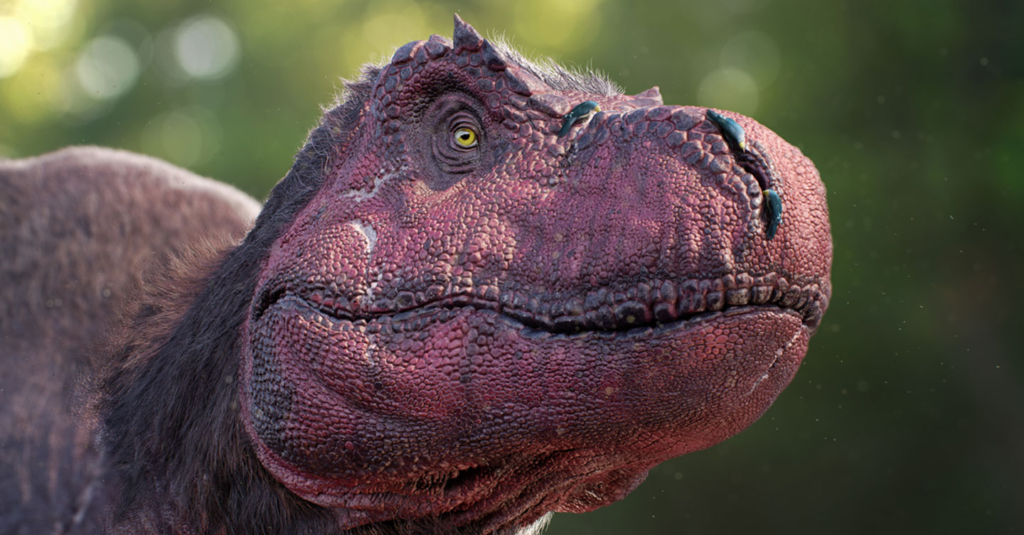 Take your class back in time with Dinosaurs in the Wild