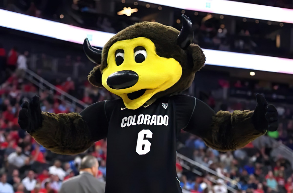 Ralphie's Roar The Power of the Buffalo in Colorado Basketball