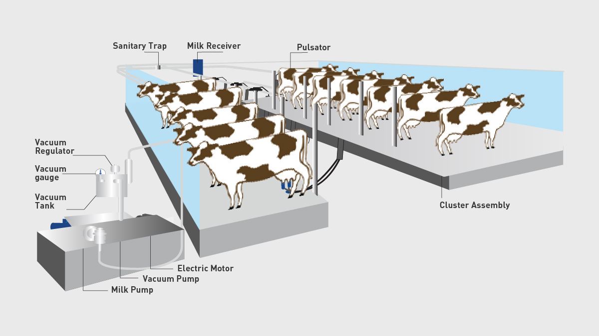 Parallel Parlor Whitegold Technologies LLP