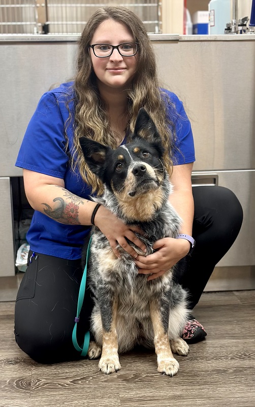 Our Staff White Knoll Veterinary Hospital and Pet Resort