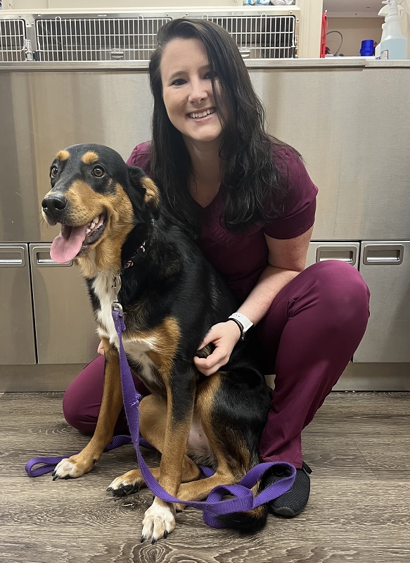 Our Staff White Knoll Veterinary Hospital and Pet Resort