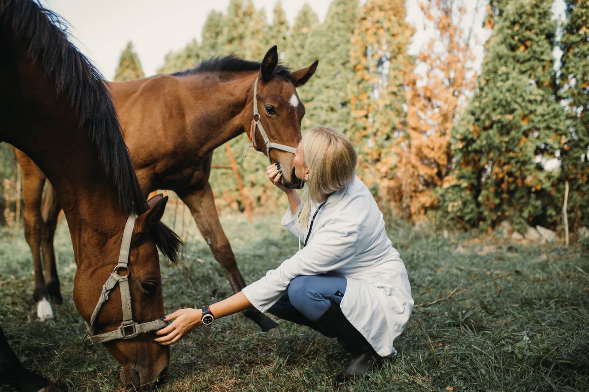 Benefits of equine therapy for addiction recovery