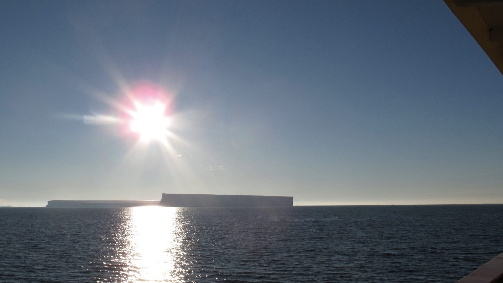 Vitamin B12 adaptability in Antarctic algae has implications for