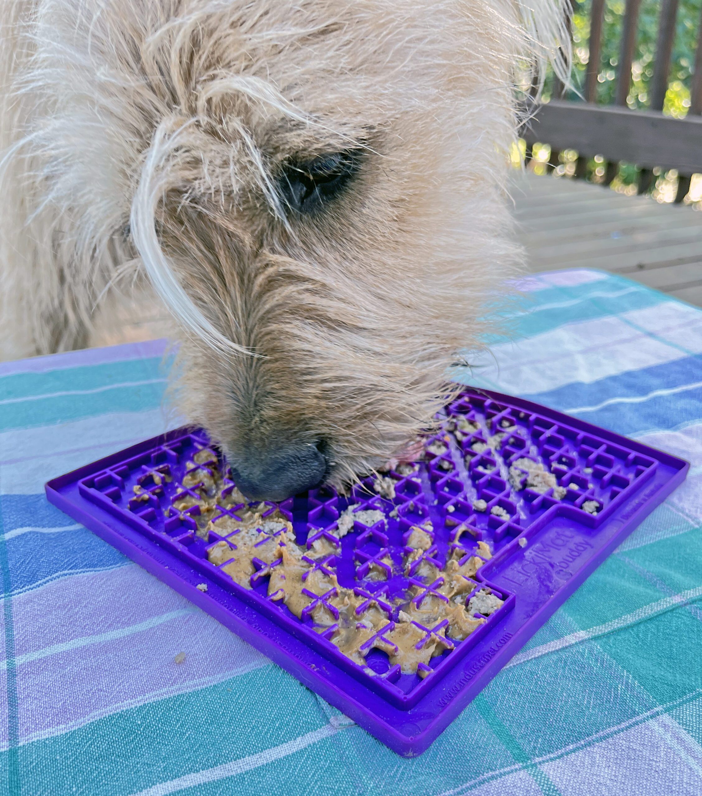 What Are Dog Lick Mats? Whole Dog Journal