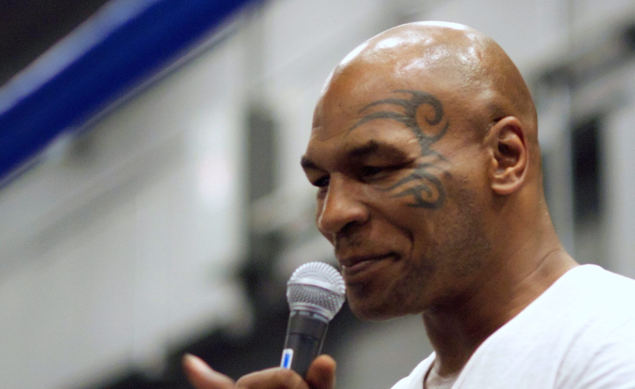 Jake Paul Uses Psilocybin To Treat Boxing Injuries Magic Mushrooms