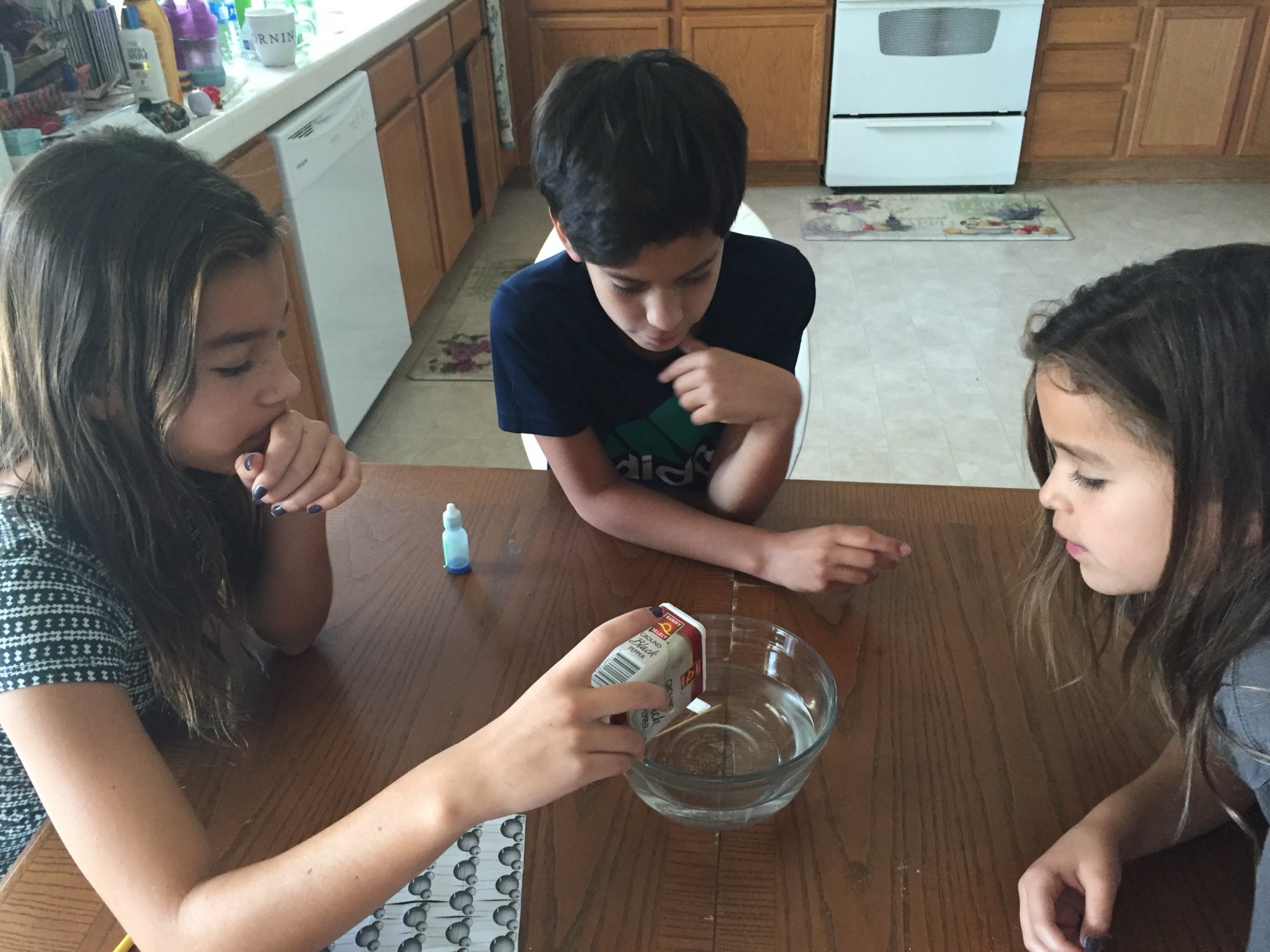 Our experience with charter/home schooling in California